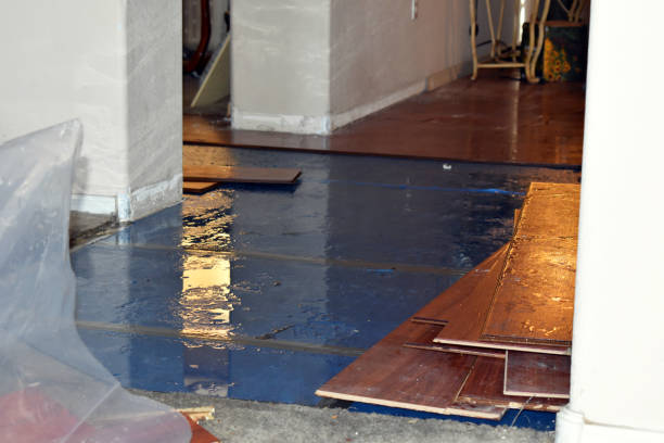 Professional Basement Flood Cleanup technician working in Horseshoe Bay, TX